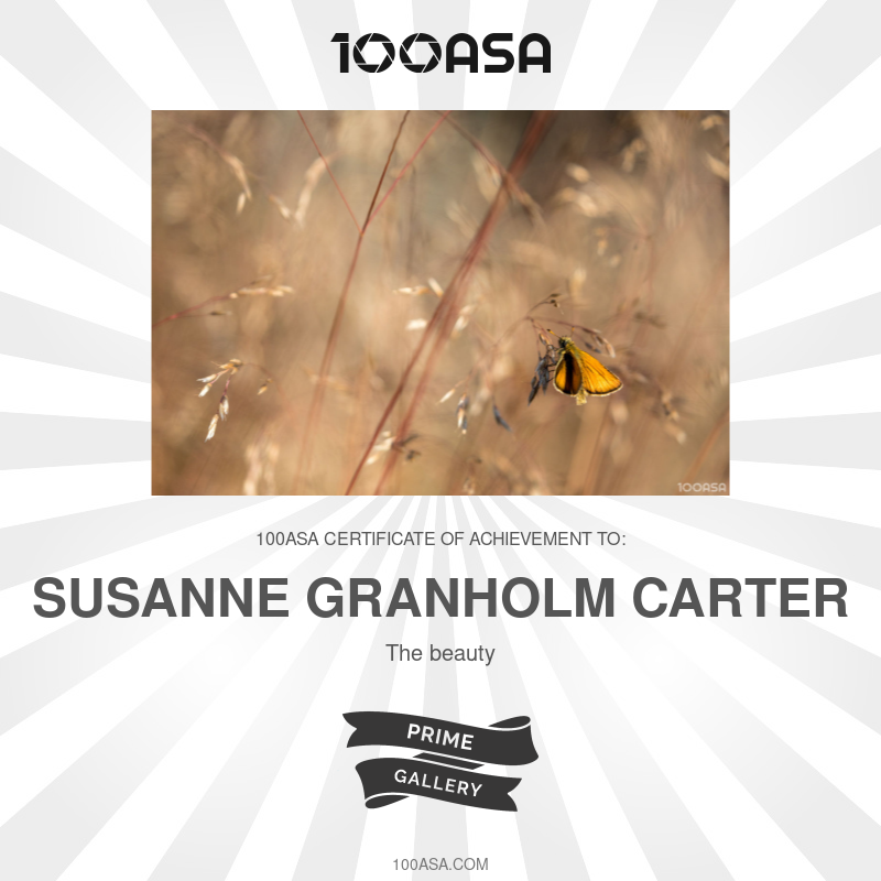 100ASA Certificate - The beauty by Susanne Granholm Carter